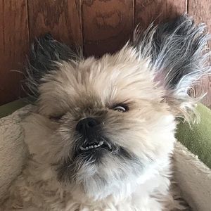 Meet your Posher, Phil